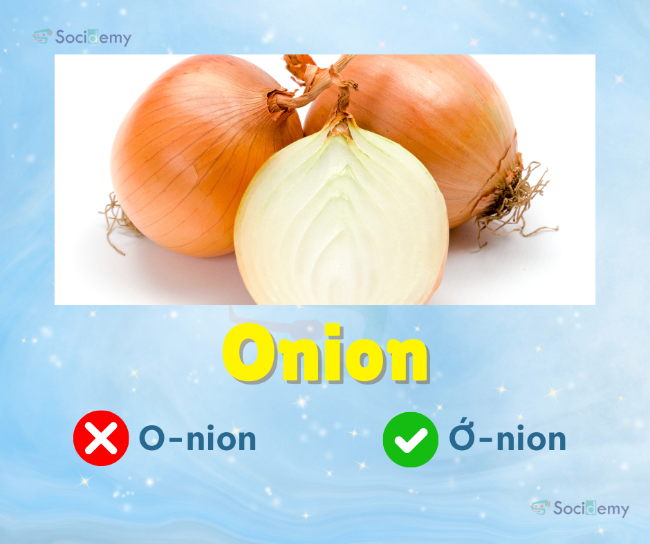 CTừ vựng đơn giản - Onion